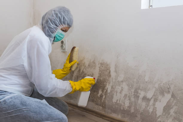 Best Bathroom Mold Remediation in Prceton, IN