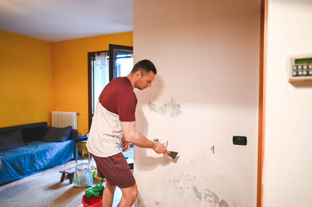 Best Insurance-Related Mold Remediation in Prceton, IN